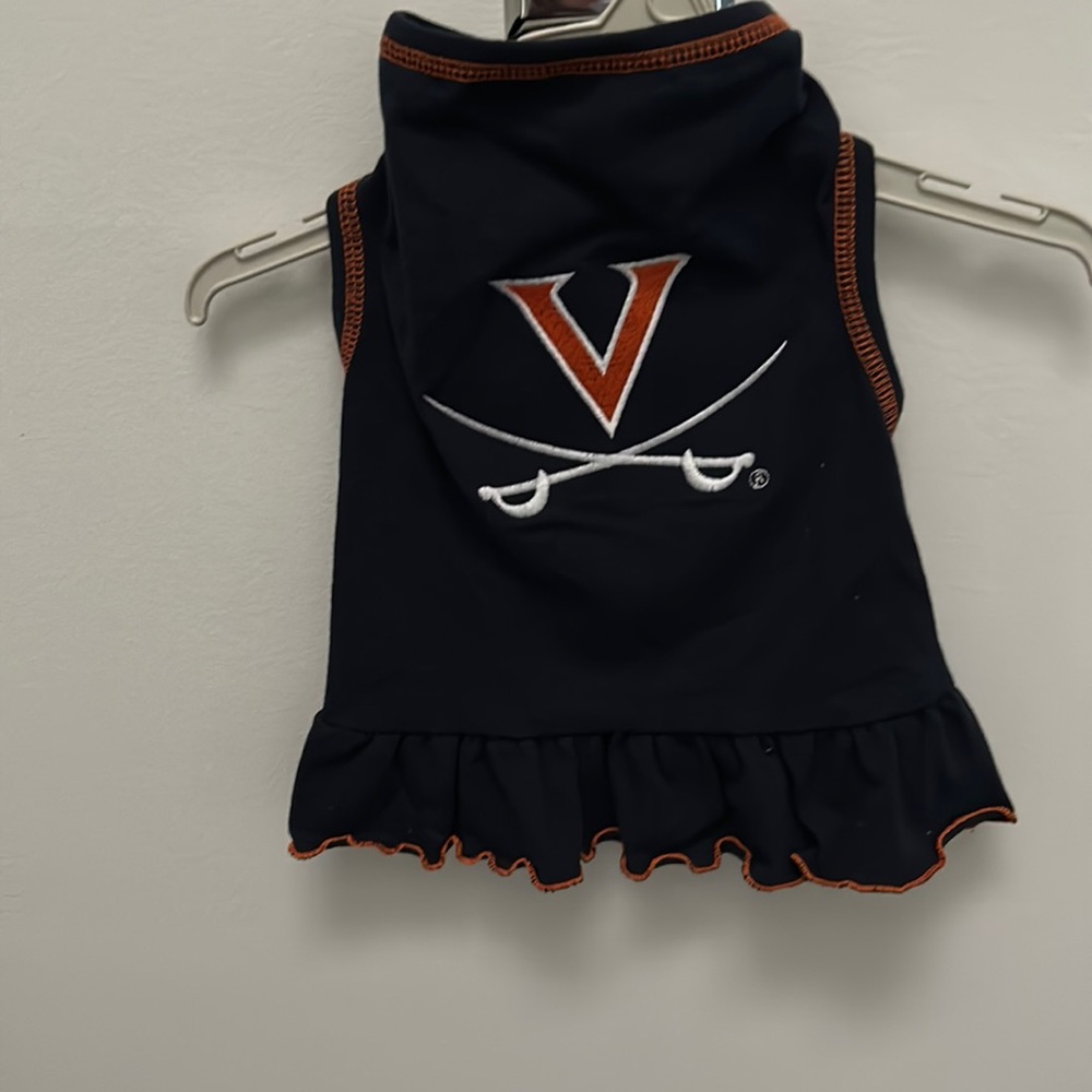 Dog cheerleader UVA dress